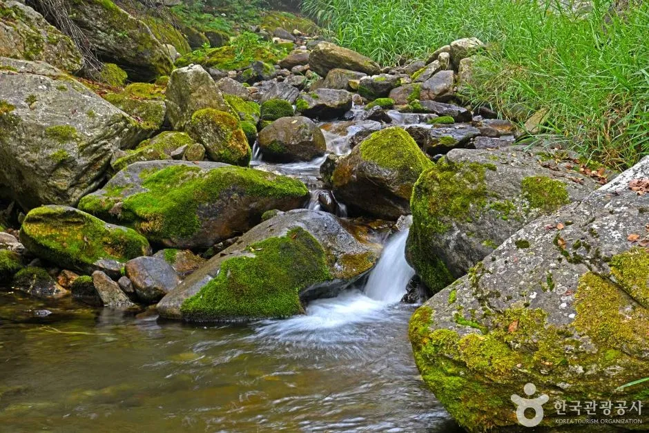 Wo der Erdweg endet, beginnt der Felsgrat: Baekdeoksan in Gangwon