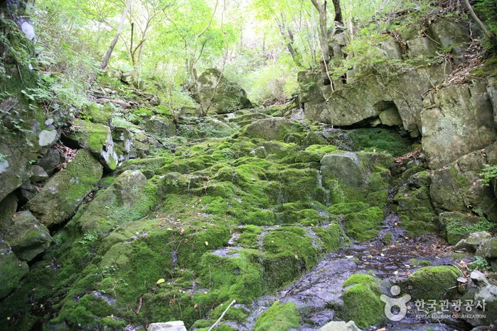 산세와 지형