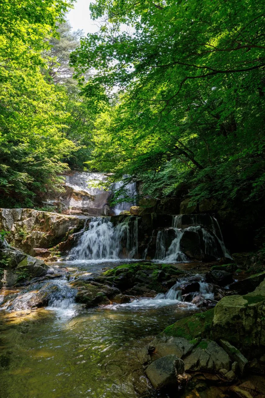 산세와 지형