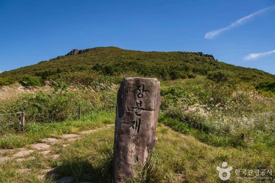 거리와 소요시간