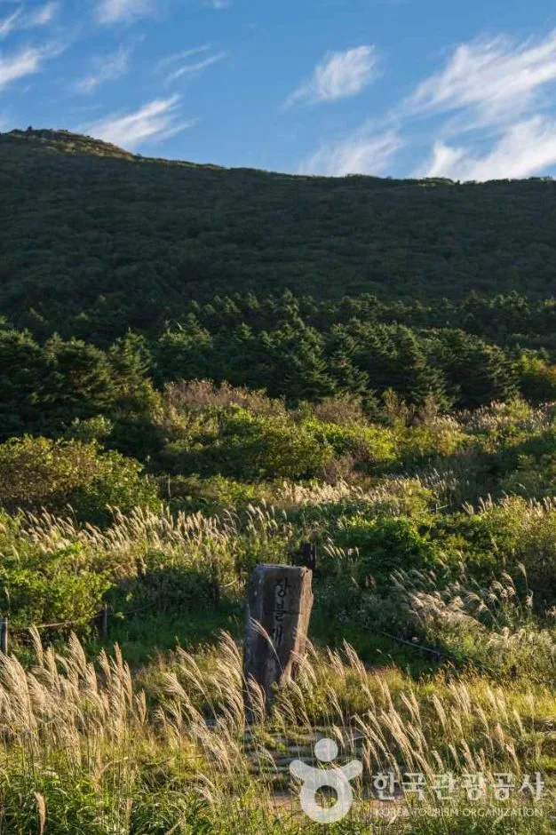 Mudeungsan: Gwangju’s dramatic stone pillars, lined up like a grand folding screen