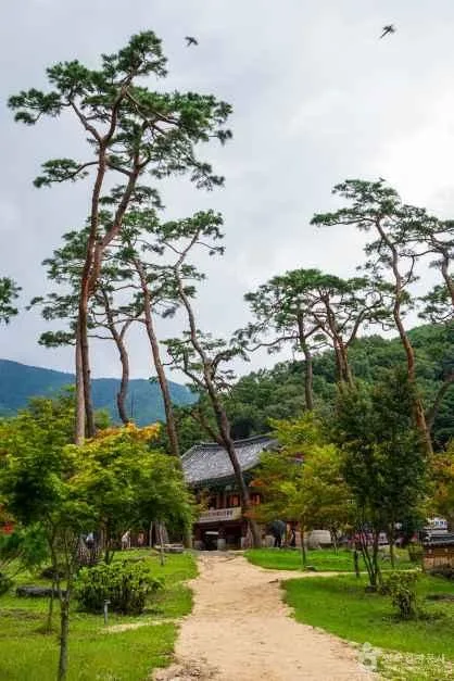 산세와 지형