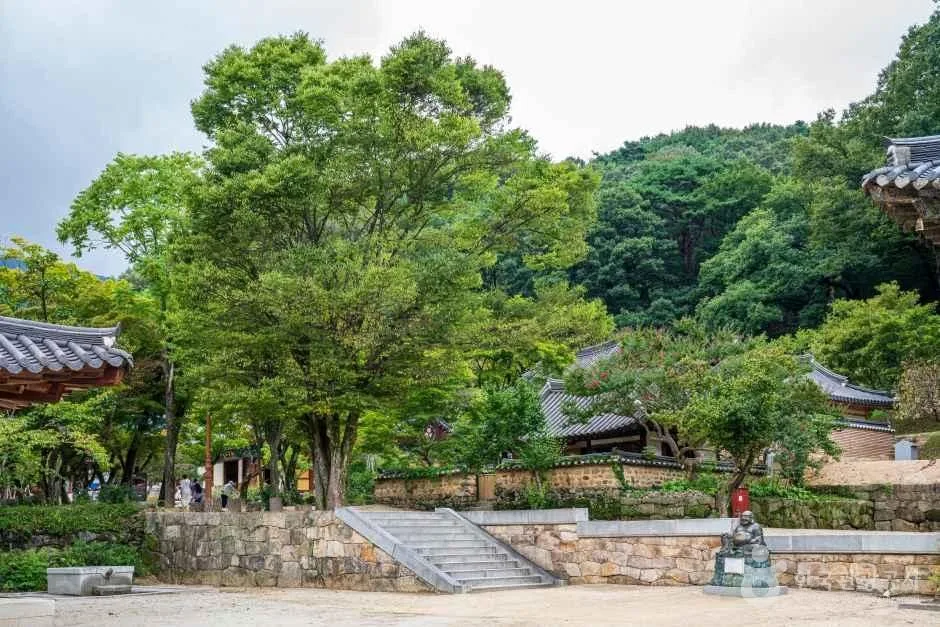 외국인 여행자 팁