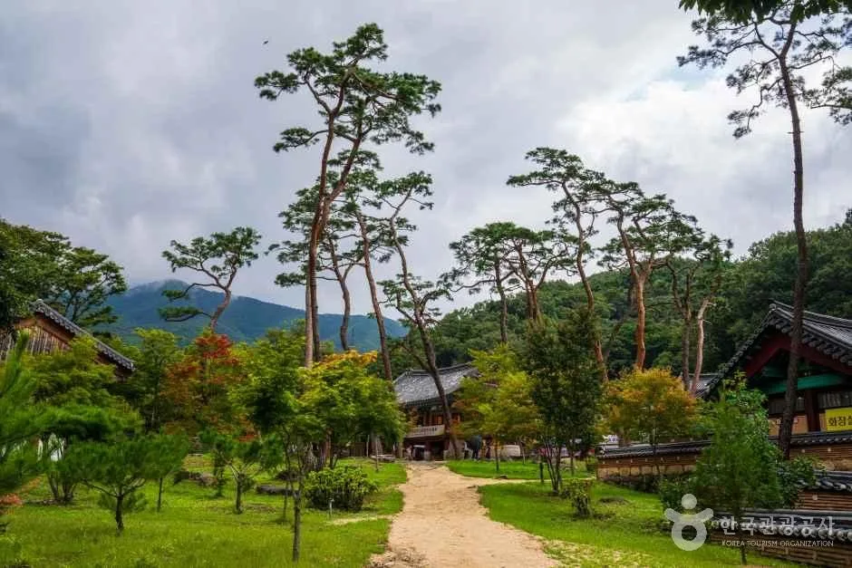 The Baekdu-daegan Ridge Trail Embracing Jikjisa Temple: Hwangaksan, Gimcheon