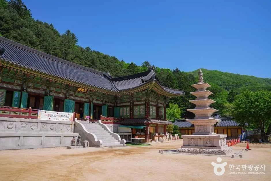 주요 코스(들머리별)