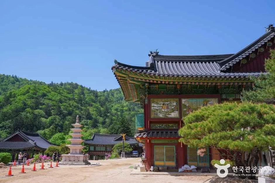 難易度・路面・注意点