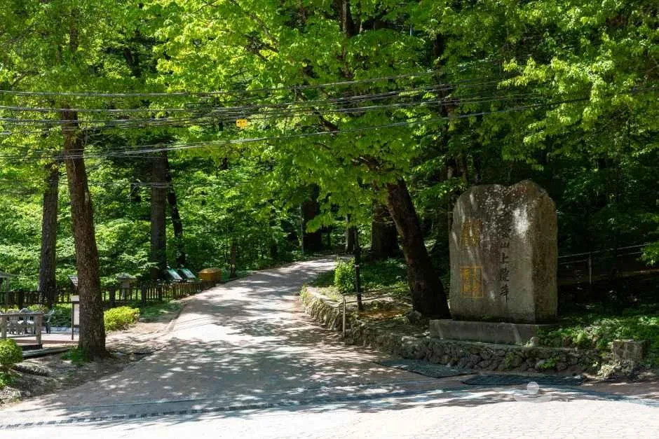 外国人旅行者へのアドバイス