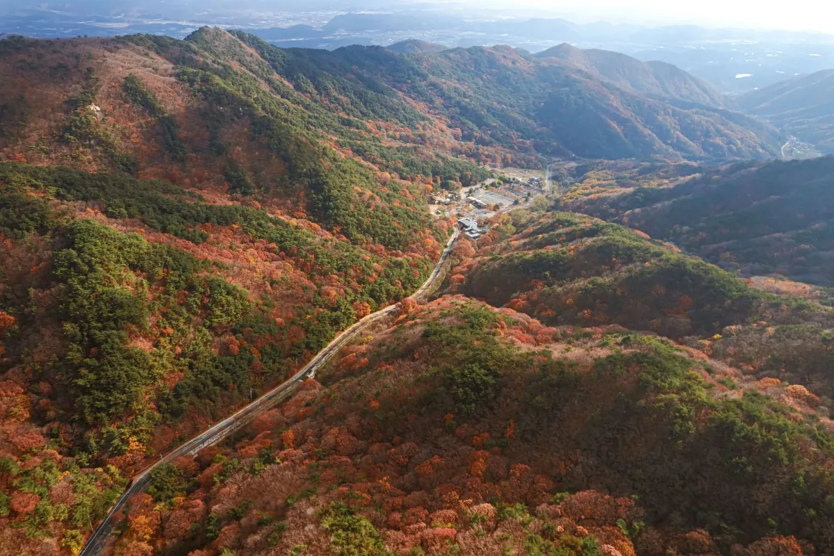 외국인 여행자 팁