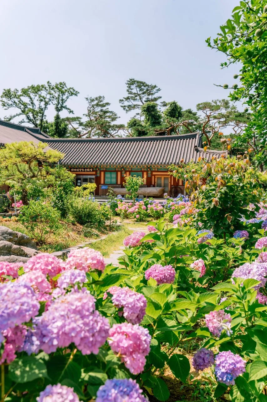시즌·날씨·장비