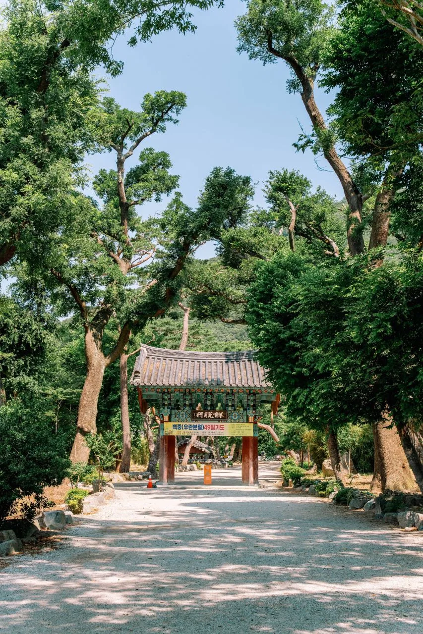 Pohang's Naeyeonsan: A Ridge with Sea Views and a Waterfall Valley Tucked Below