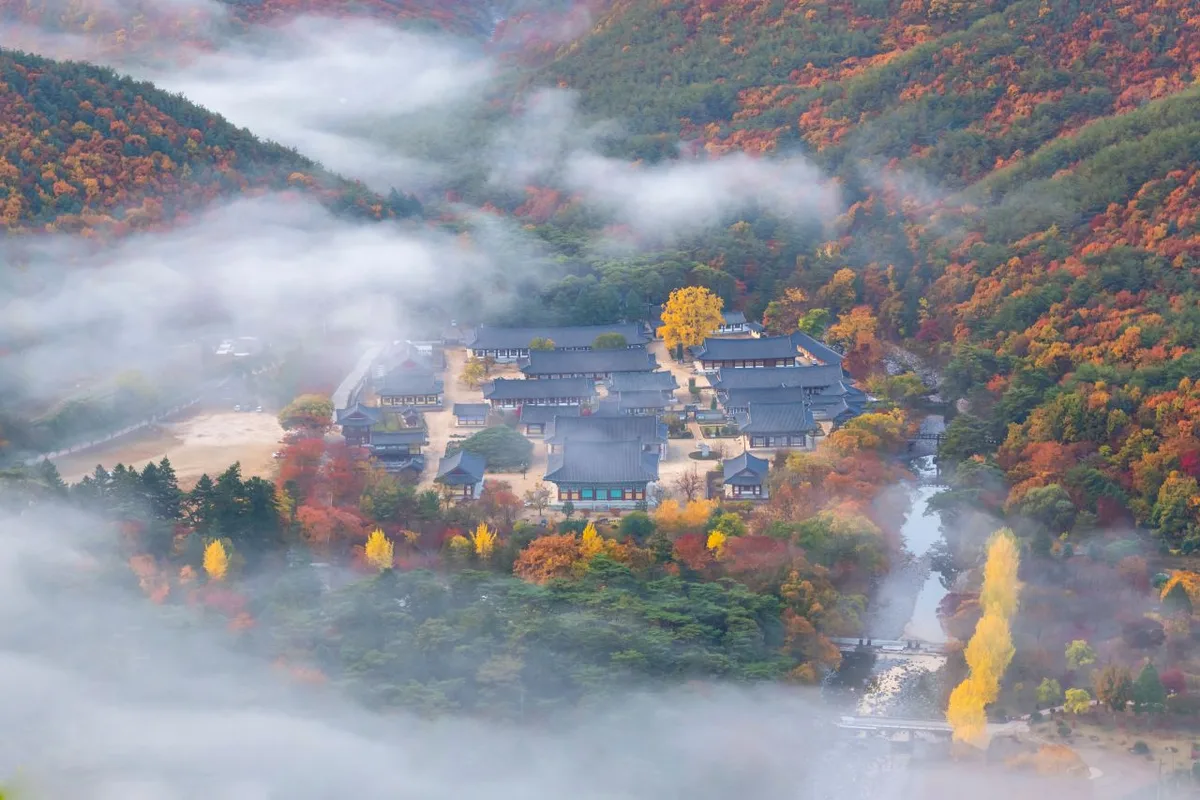 Ridge After Ridge in the Yeongnam Alps: Unmunsan in Cheongdo and Miryang
