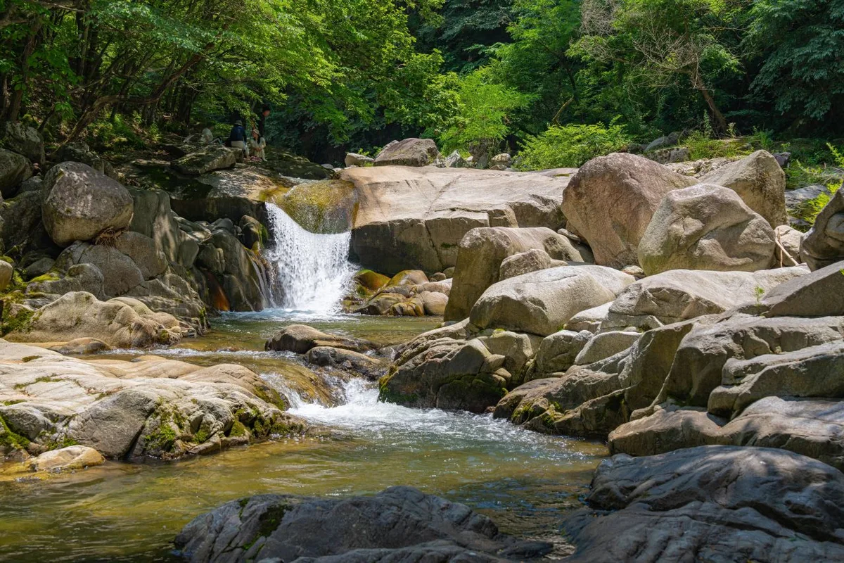 외국인 여행자 팁
