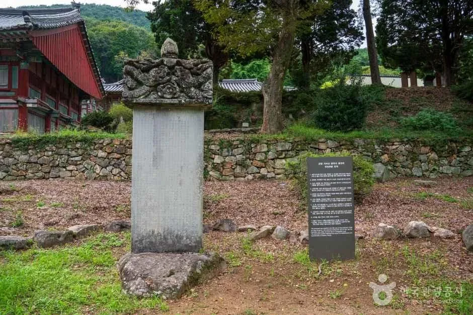 Past Dead Trees and the Silver Grass Ridge to Cheonwangbong — Traversing Jirisan in Gyeongnam
