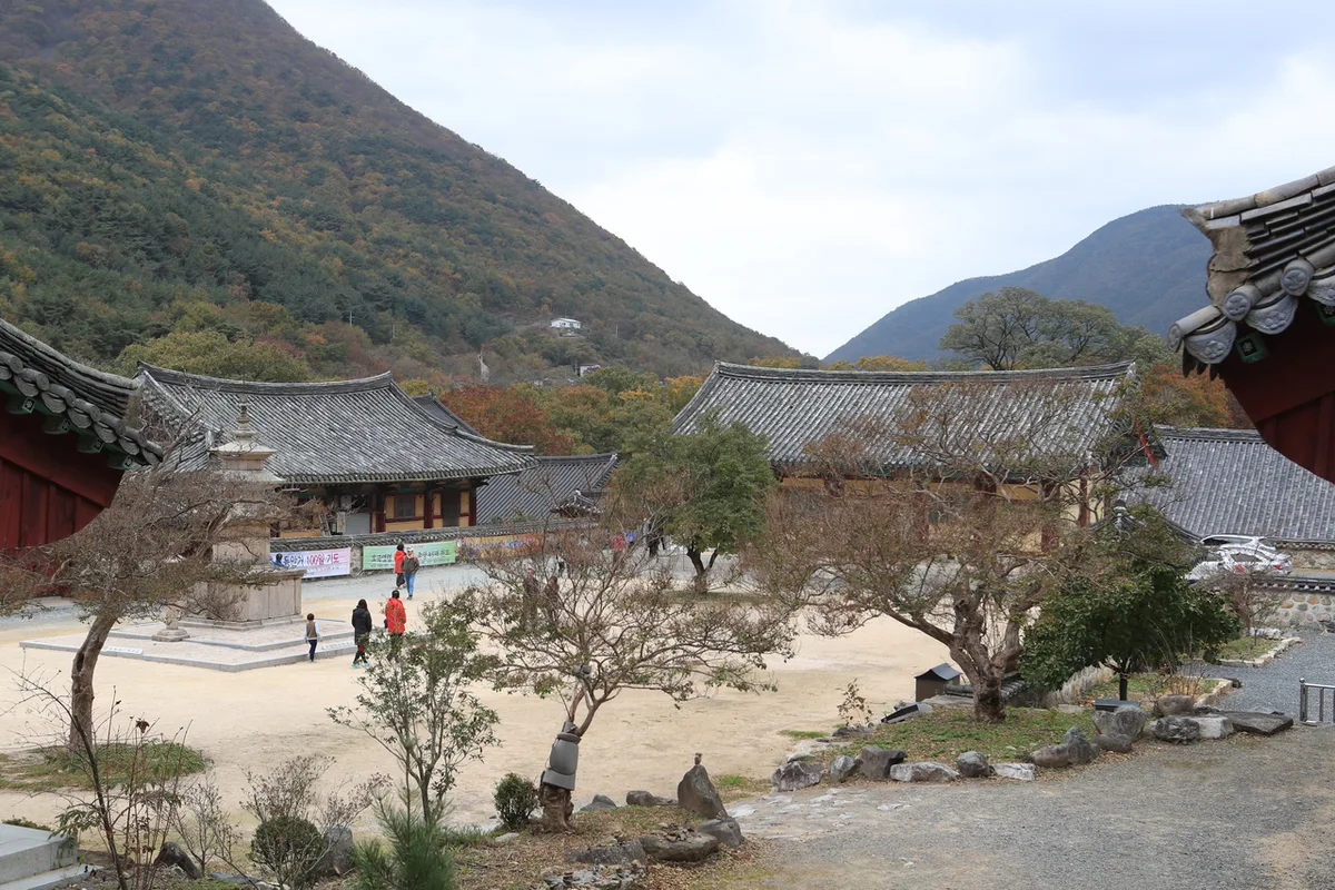 외국인 여행자 팁