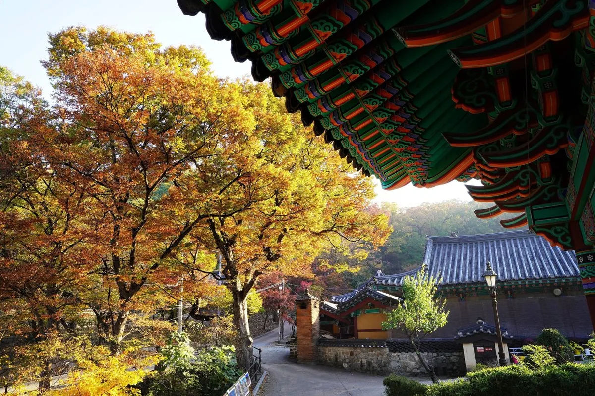 登山の雰囲気