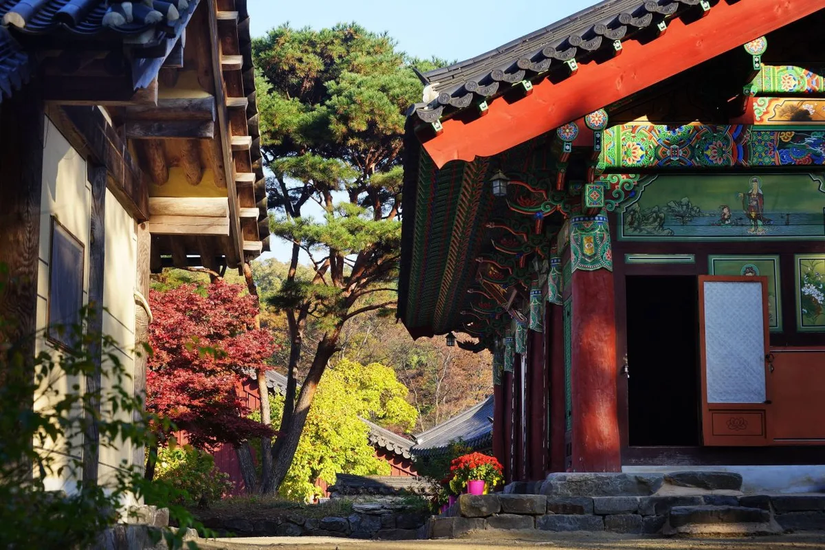 난이도·노면·주의