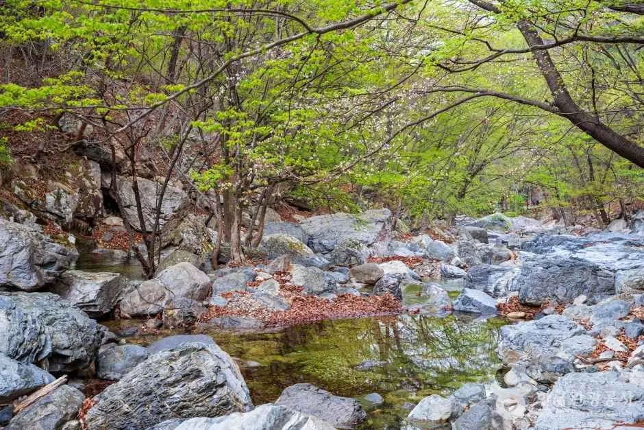 가는 길(대중교통·주차)