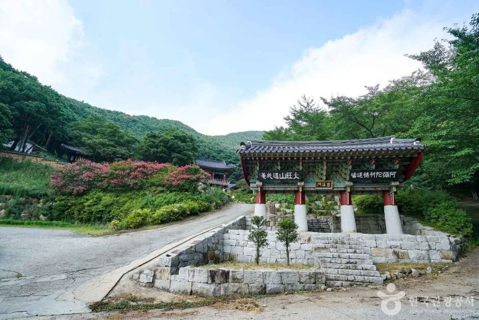 시즌·날씨·장비