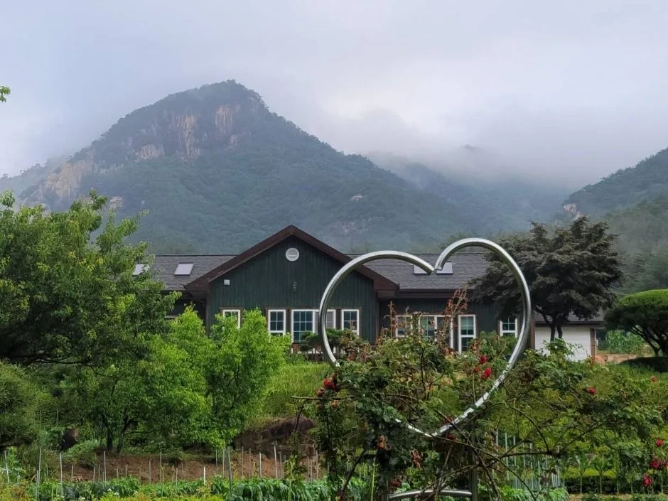 등산의 느낌