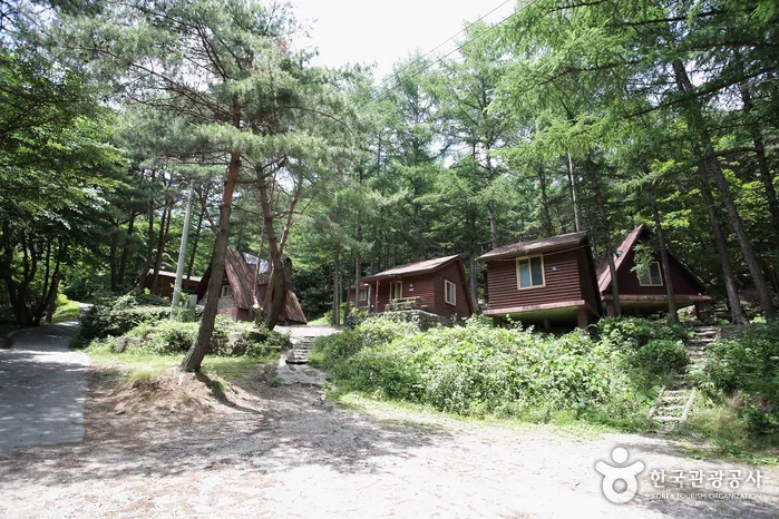산세와 지형