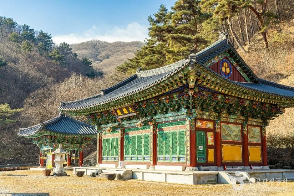 시즌·날씨·장비