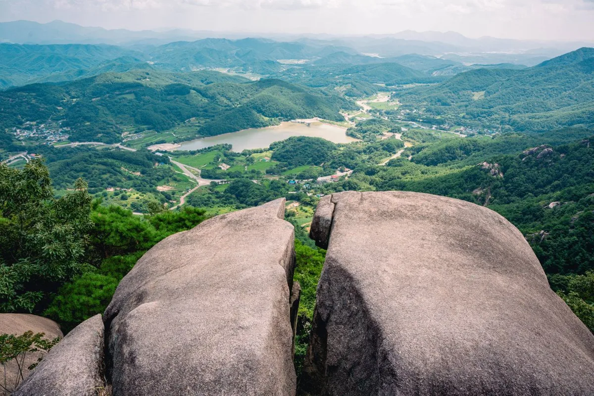 Ridgeline Meadows of Royal Azalea and Silver Grass: Hwangmaesan in Hapcheon and Sancheong