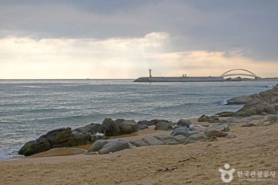 시즌·날씨·복장