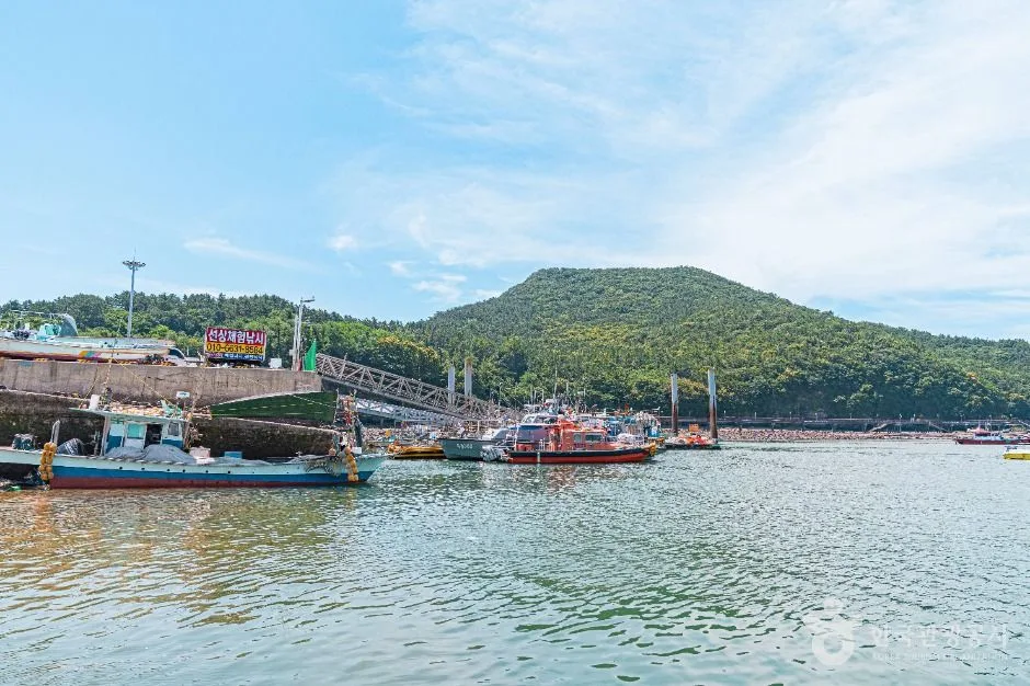 Can a beginner runner handle this course? Is it doable as a day trip from Seoul?