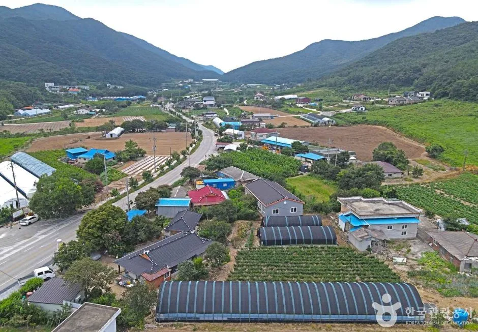 시즌·날씨·복장
